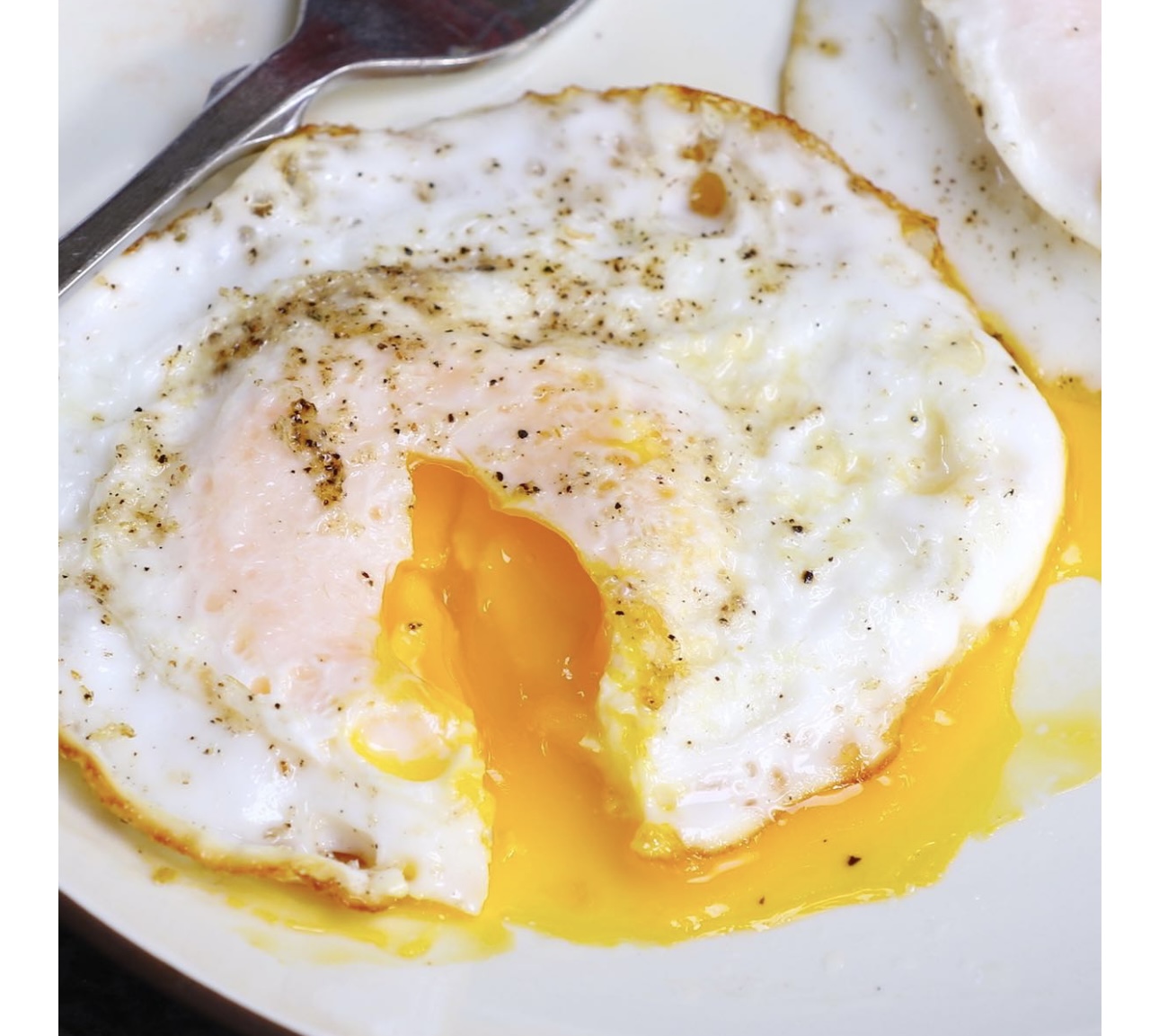 Single egg